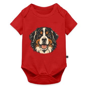 Alter-Berner Sennenhund - Baby Premium Kurzarmbody - Rot - Vorne