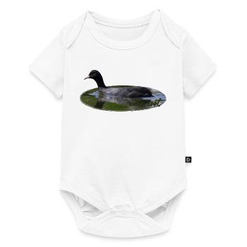 Blässhuhn Wasservogel Vogel - Baby Premium Kurzarmbody - Weiß - Vorne