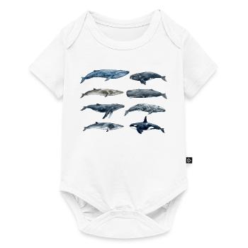 Wale der Welt - Baby Premium Kurzarmbody - Weiß - Vorne