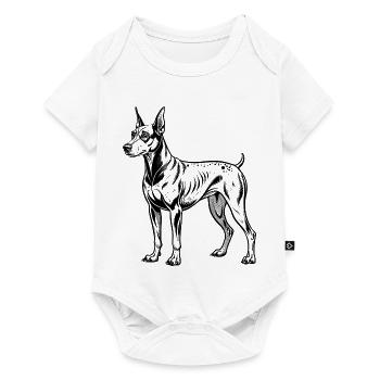 Dobermann - Baby Premium Kurzarmbody - Weiß - Vorne