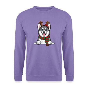Weihnachten Alaskan Klee Kai - Unisex Pullover - Lavendel - Vorne