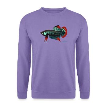 Betta imbellis, Kampffisch Wildform aus Thailand - Unisex Pullover - Lavendel - Vorne