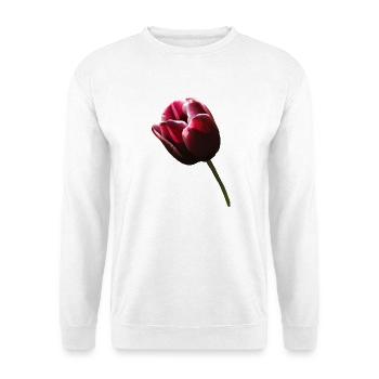 Tulpe Tulpen - Unisex Pullover - Weiß - Vorne - Alina (178cm) & Michal (187cm)