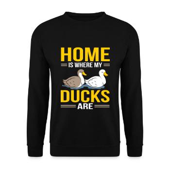 Ducks - Unisex Pullover - Schwarz - Vorne - Alina (178cm) & Michal (187cm)