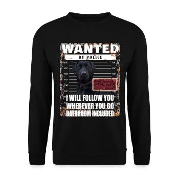 Schwarzer Labrador GESUCHT lustiges Motiv - Unisex Pullover - Schwarz - Vorne - Alina (178cm) & Michal (187cm)