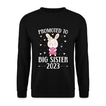 Zur großen Schwester befördert 2023 Schwesterchen - Unisex Pullover - Schwarz - Vorne - Alina (178cm) & Michal (187cm)
