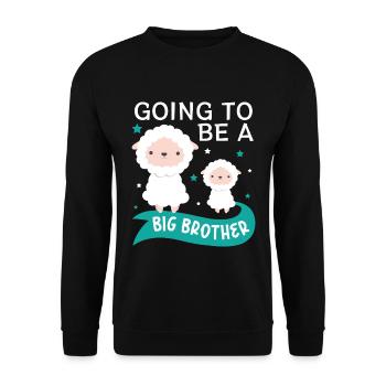 Ich Werde Bald Großer Bruder - Unisex Pullover - Schwarz - Vorne - Alina (178cm) & Michal (187cm)
