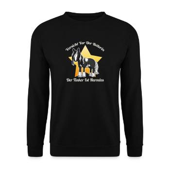 Vorsicht vor Reiterin Tinker ist Harmlos Gypsy Cob - Unisex Pullover - Schwarz - Vorne - Alina (178cm) & Michal (187cm)