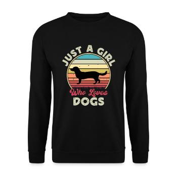 Alpine Dachsbracke Hundesilhouette Retro Sonnenuntergang - Unisex Pullover - Schwarz - Vorne - Alina (178cm) & Michal (187cm)