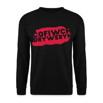 Cofiwch Dryweryn - Unisex Pullover - Schwarz - Vorne - Alina (178cm) & Michal (187cm)