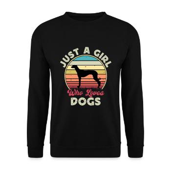 Altkroatischer Windhund Hund Silhouette Retro Sonne - Unisex Pullover - Schwarz - Vorne - Alina (178cm) & Michal (187cm)