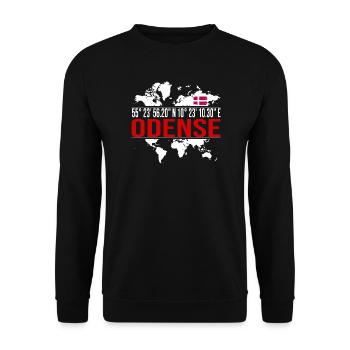 Odense - Unisex Pullover - Schwarz - Vorne - Alina (178cm) & Michal (187cm)