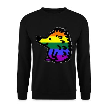 Igel LGBTQ bunt Regenbogenflagge - Unisex Pullover - Schwarz - Vorne - Alina (178cm) & Michal (187cm)