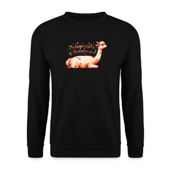 Pädagogische Atempause Alpaka Lehrer Spruch - Unisex Pullover - Schwarz - Vorne - Alina (178cm) & Michal (187cm)