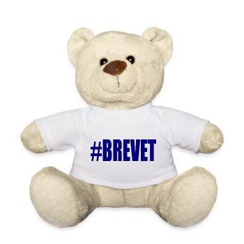 FERRY. BACCALAUREAT. PATENT. DNB. EXAMINATION. WELL DONE - Teddy Bear - white - Front