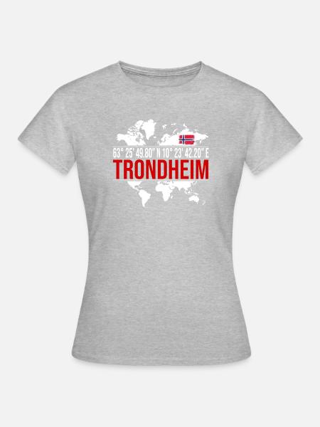 Trondheim - Frauen T-Shirt - Grau meliert
