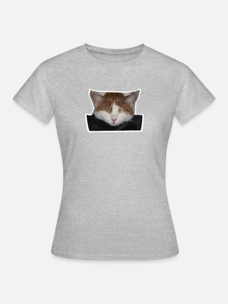 Schlafende rot-weiße Katze - Frauen T-Shirt - Grau meliert