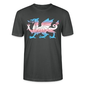 Wales Trans Flag, Baner Trans Cymru, Transgender - Stanley/Stella CRAFTER Unisex Organic T-Shirt - anthracite - Front - Alina (178cm) & Michal (187cm)