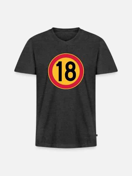 18 Geschwindigkeitsbegrenzung - Männer Premium Bio T-Shirt mit V-Ausschnitt - Anthrazit meliert