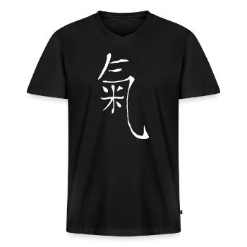 qi lebensenergie - Männer Premium Bio T-Shirt mit V-Ausschnitt - Schwarz - Vorne - Nico (187cm)