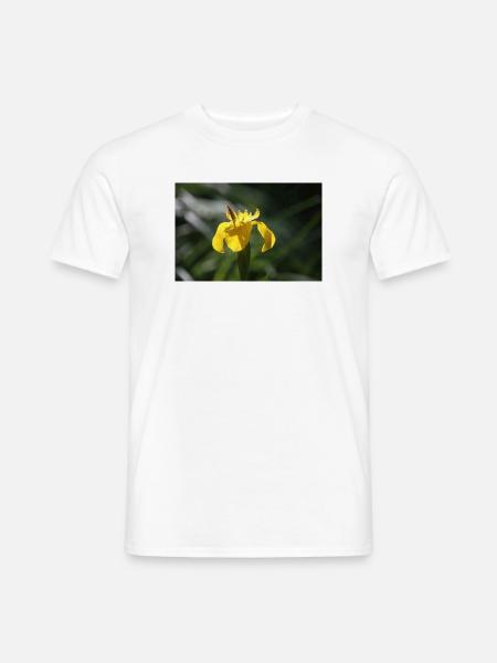 Schwertlilie Lilie gelbe Blume - Männer T-Shirt - Weiß