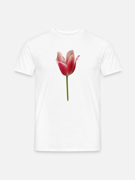 pinke Tulpe - Männer T-Shirt - Weiß