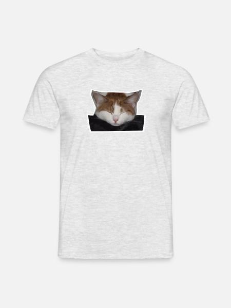 Schlafende rot-weiße Katze - Männer T-Shirt - Grau meliert