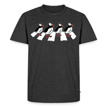 Papageitaucher Papageientaucher Puffin - Männer Premium Bio T-Shirt - Anthrazit meliert - Vorne - Nico (187cm)
