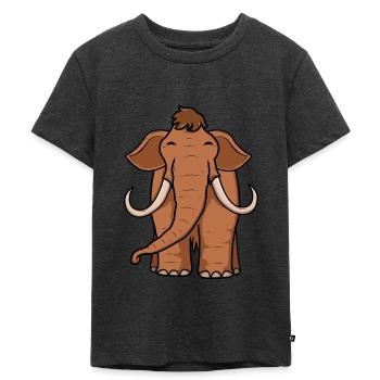 Mammut Steinzeit - Kinder Premium Bio T-Shirt - Anthrazit meliert - Vorne - Mikhail (115cm)
