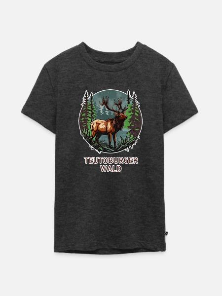 Teutoburger Wald - Teenager Premium Bio T-Shirt - Anthrazit meliert