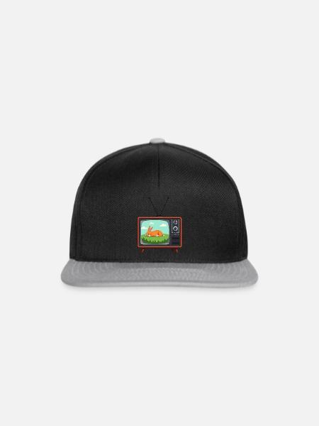 Retro Fernseher mit schlafendem Hasen - Snapback Cap -