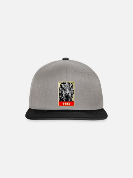 T-Rex Dinosaurier Retro Tyrannosaurus Rex - Snapback Cap - Graphit/Schwarz