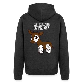Okapi - Unisex Premium Bio Zip Hoodie - Anthrazit meliert - Hinten - Nico (187cm)