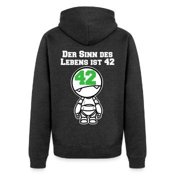 Durchgeknallter Lebenssinn Galaxis - Unisex Premium Bio Zip Hoodie - Anthrazit meliert - Hinten - Nico (187cm)