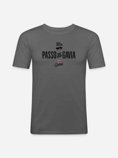 Gavia Pass - Männer Slim Fit T-Shirt - Graphite