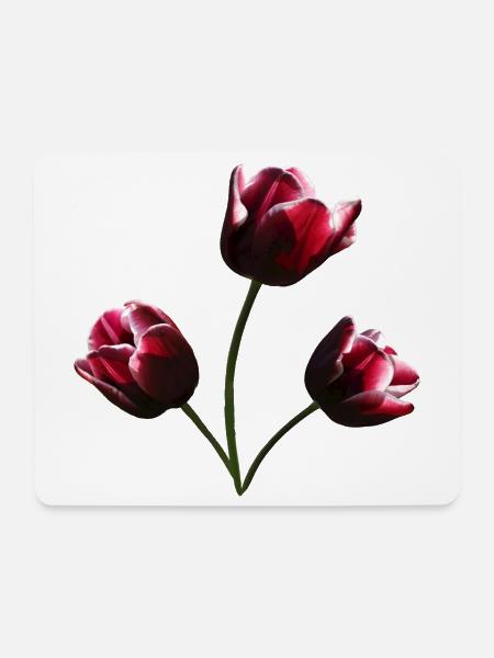 Tulpen weinrote Tulpe - Mousepad (Querformat) - Weiß