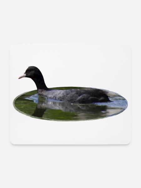 Blässhuhn - Mousepad (Querformat) - Weiß