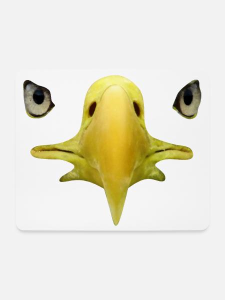 Schnabel, Augen von Weißkopftseeadler, Falknerei - Mousepad (Querformat) - Weiß