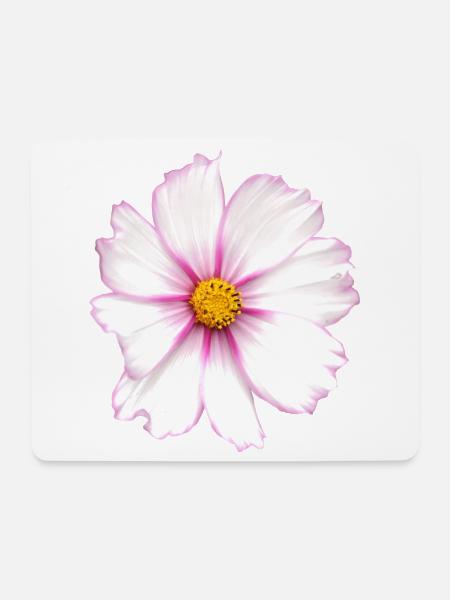 weiße Blume - Mousepad (Querformat) - Weiß