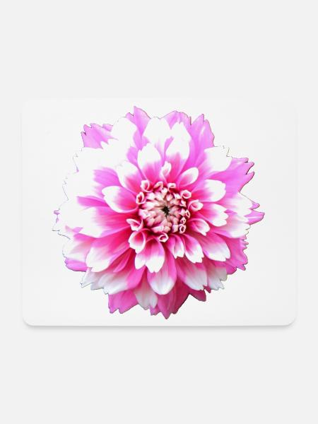 Blume rosa pinke Blume Blumen pink rosa Blumen - Mousepad (Querformat) - Weiß