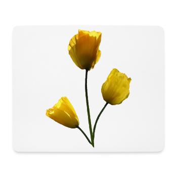 Mohn gelbe Mohnblumen - Mousepad (Querformat) - Weiß - Vorne