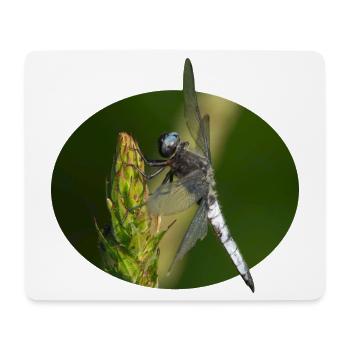 Libelle - Mousepad (Querformat) - Weiß - Vorne