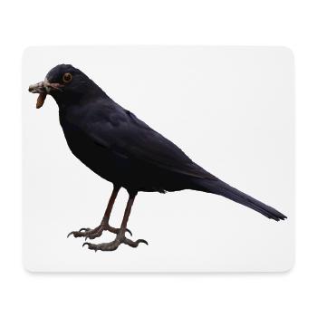 Amsel Vogel schwarzer Vogel - Mousepad (Querformat) - Weiß - Vorne