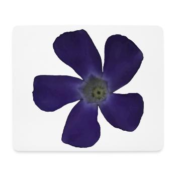 Immergrün lila Blume lila Blüte - Mousepad (Querformat) - Weiß - Vorne