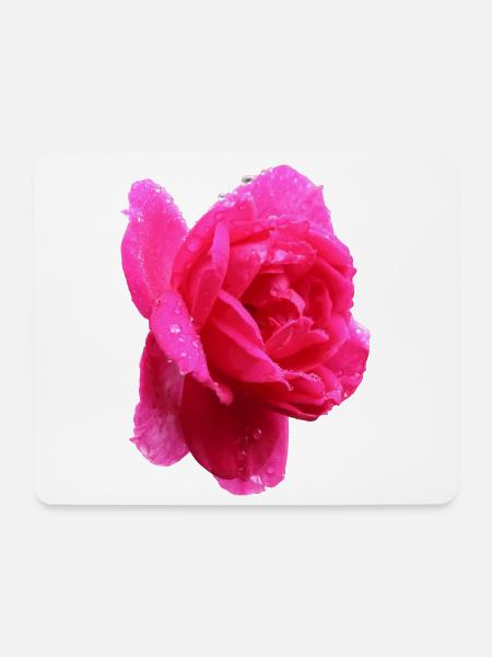 rosa Rose - Mousepad (Querformat) - Weiß