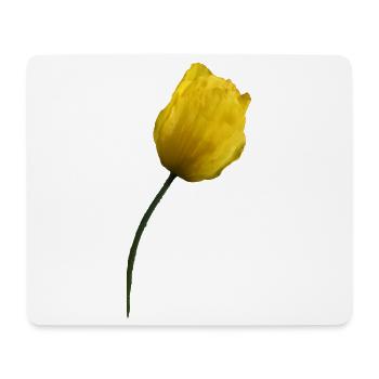 gelber Mohn Klatschmohn Mohnblume - Mousepad (Querformat) - Weiß - Vorne