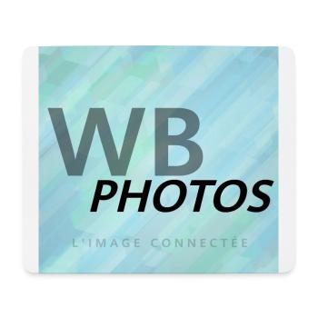 HELLBLAUES WBP-LOGO - Mousepad (Querformat) - Weiß - Vorne