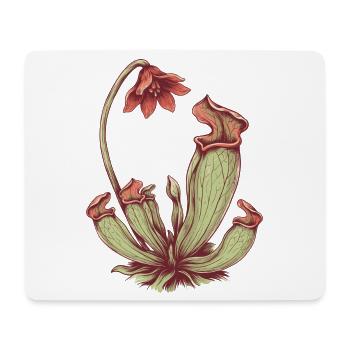 Karnivoren Pitcherpflanze - Botanische Kunst - Mousepad (Querformat) - Weiß - Vorne