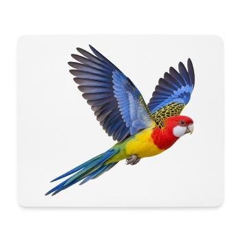 Prachtrosella im Flug – Sittich in bunten Farben - Mousepad (Querformat) - Weiß - Vorne