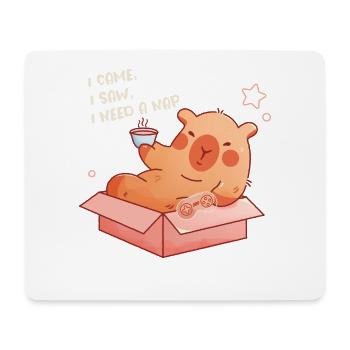 I Came I Saw I Need A Nap - Mousepad (Querformat) - Weiß - Vorne